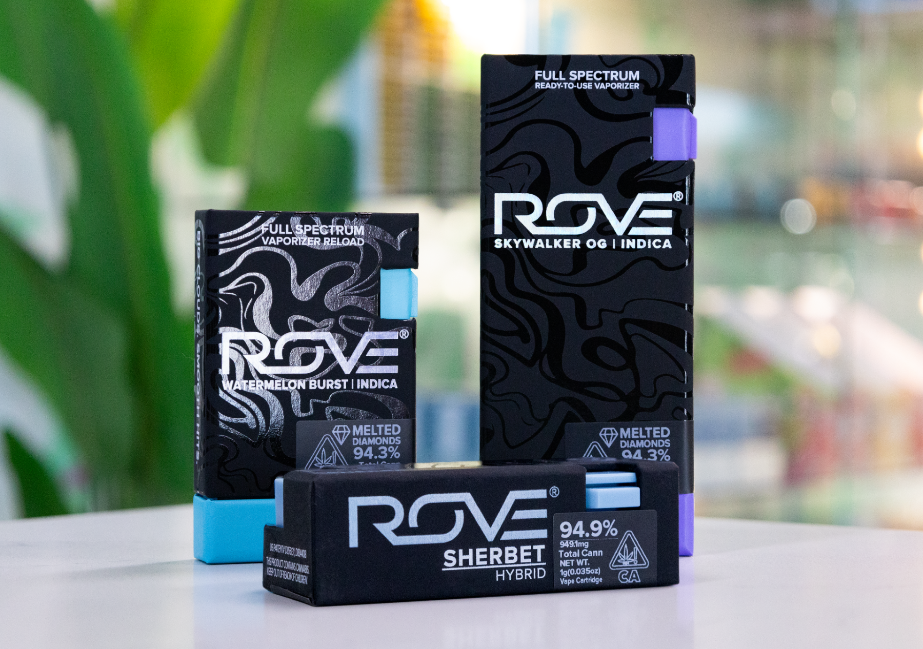 Brand Spotlight: Rove Image