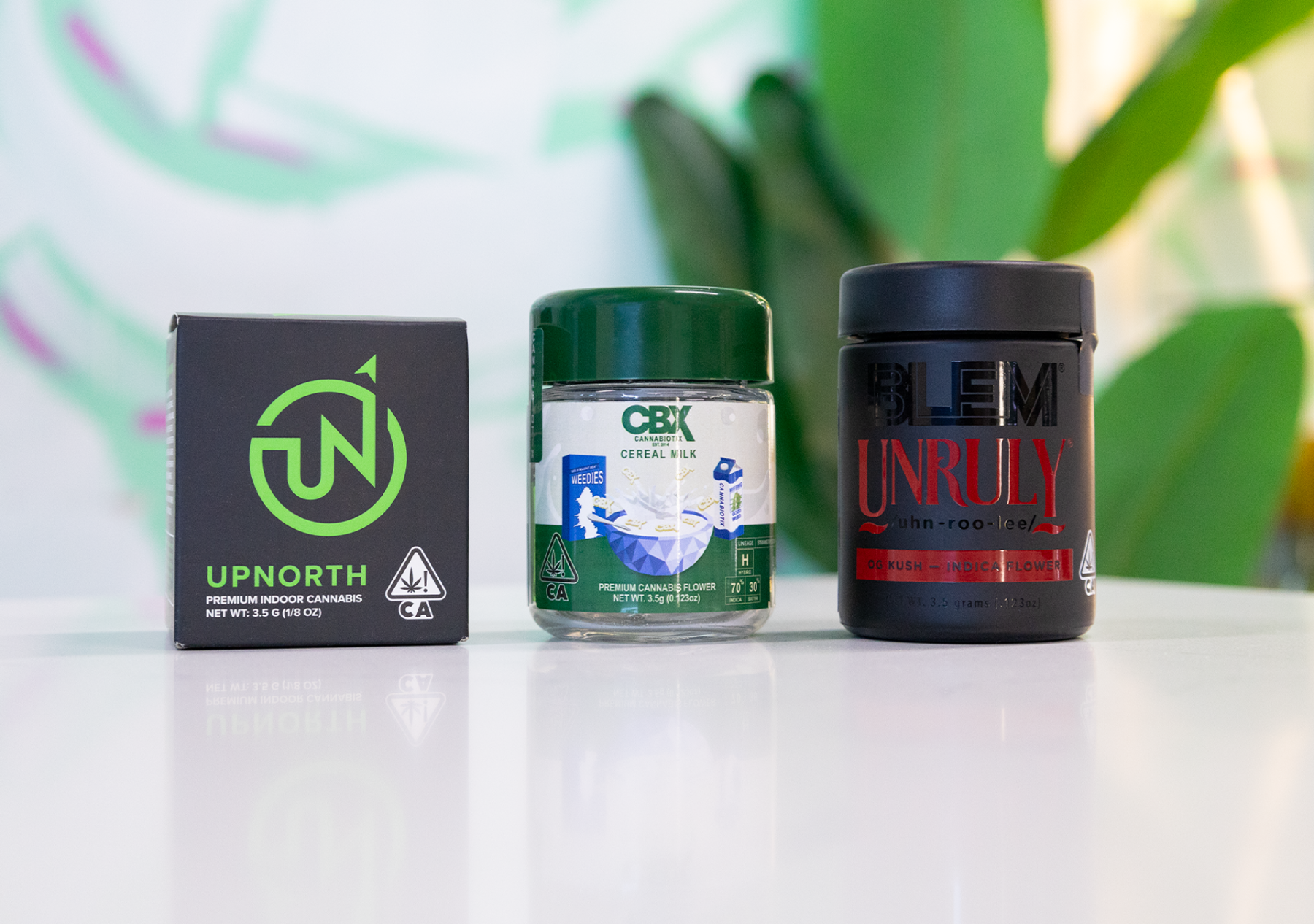 Understanding Indica, Hybrid, and Sativa Image
