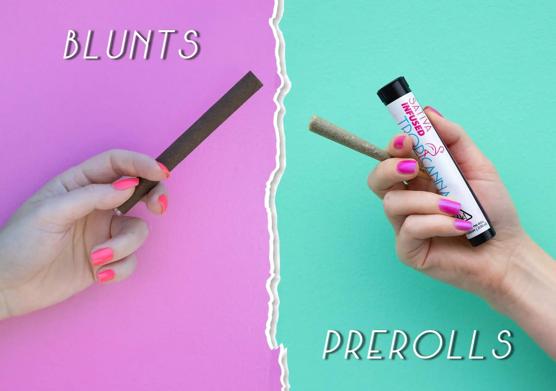 Your Guide to Blunts, Pre-Rolls, and Everything In Between Image